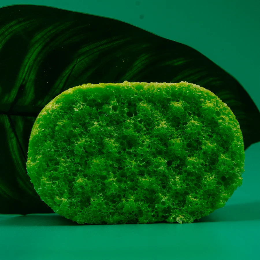 Africa Soap Sponge