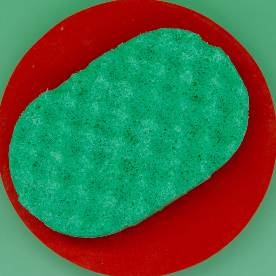 Watermelon Soap Sponges